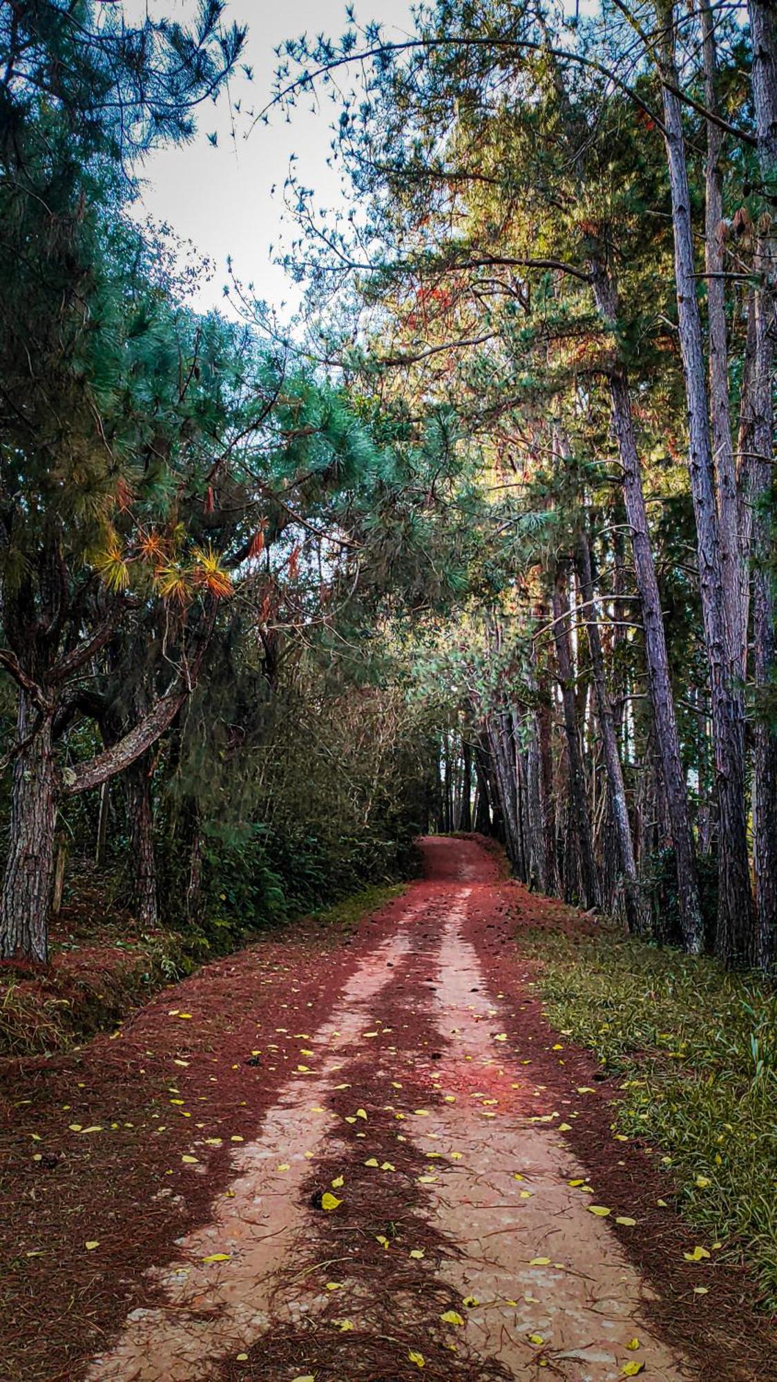 Pousada Colar De Ouro Cunha Exterior foto